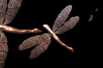 Buccellati Timeless Art; Photography Leonardo V